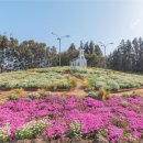 주식회사 제주지투어