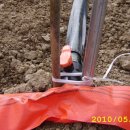 여주-1100 이미지