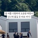 발리376워터점프 이미지