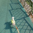 도그스푼 이미지