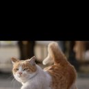 뚱땅뚱땅 이미지