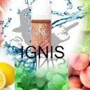 망고파인 이미지