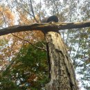 회문산자연휴양림 이미지