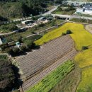 진안읍 1450 이미지