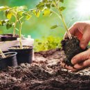 호미농장 이미지