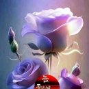 멋진 하루 이미지