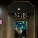 별밤라이브 - 강릉시 주문로 119 | 별밤라이브