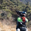 버드스쿨 이미지