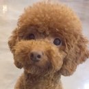 JM메디칼 이미지