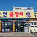 꼬리치는장어;산곰장어