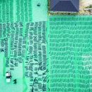 금일읍시장 이미지