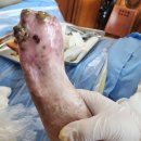 강서스마일재가센터 이미지