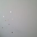 디즈데이즈 이미지