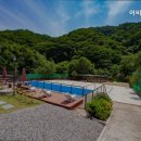 어비 포레스트 이미지