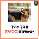 덕소로71번길 20-7 네이버블로그