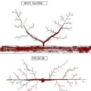 경원통신 | 四字成語 총정리 &lt;ㄱ&gt; 262 개시대청~개암고분