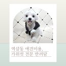 강남펫살롱 이미지