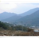 정곡리 Daum카페