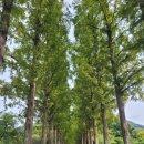 (주)사람과자원