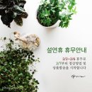 옥분농장 | 그루/그루스토리/설연휴/휴무안내/논현동꽃집/학동초꽃집/강남꽃집/선정릉역꽃집/강남플랜트샵