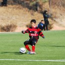 인천석남서초등학교 이미지