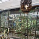 피그스토리 동물병원 이미지