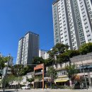 마래푸약국 이미지