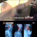 석연농장 이미지