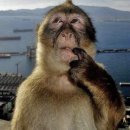 아마스빈 김천신음점 | 가끔은 이런 것도 ㄱㅊ아(25.12)