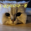 원통불가마 이미지