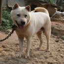 진골농장 이미지