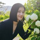 다인과파트너