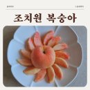 곰님농원 - 26688 | 세종 특산물 조치원복숭아 아이간식으로 딱 좋은 맛있는 청수농원 복숭아 후기