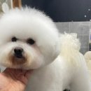 레이지 포 이미지