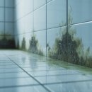 바른선줄눈 | 욕실 줄눈 곰팡이 제거, 새것처럼 만드는 꿀팁