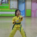 태권도삼일체육관 이미지