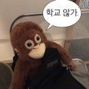 알통닭강정 이미지