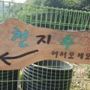 천지수향에서 팜파티