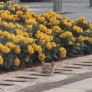 apr • 법적 쀼가 됐어요