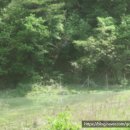 포항시북구32 이미지