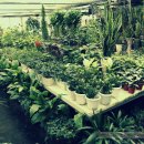 동양화원 이미지