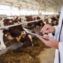 창생동물병원 이미지