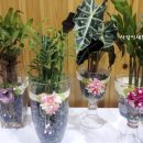 천명농장 이미지