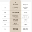 보라2통 | 당신의 비타민c 세럼이 효과없는 5가지 이유