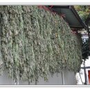 운정초등학교 이미지