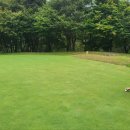 더스윙블랙다산점