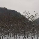 힐링 겨울 여행지, 조용한 겨울 여행지 속리산~♡ 이미지