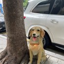 델리쉬 베이글