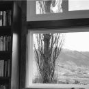 카페미루 이미지