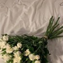여니스튜디오 이미지
